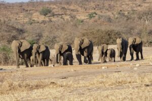 Botswana